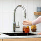 Quooker Flex Krom - Pro3