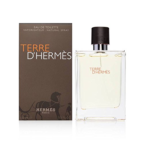 Hermes Terre D'Hermes Edt Spray 100 ml