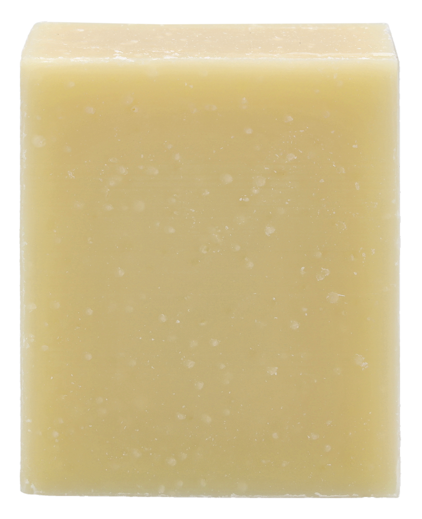 Christophe Robin Hydrating Shampoo Bar 100 gr