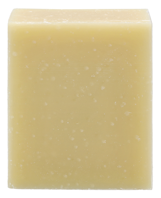 Christophe Robin Hydrating Shampoo Bar 100 gr